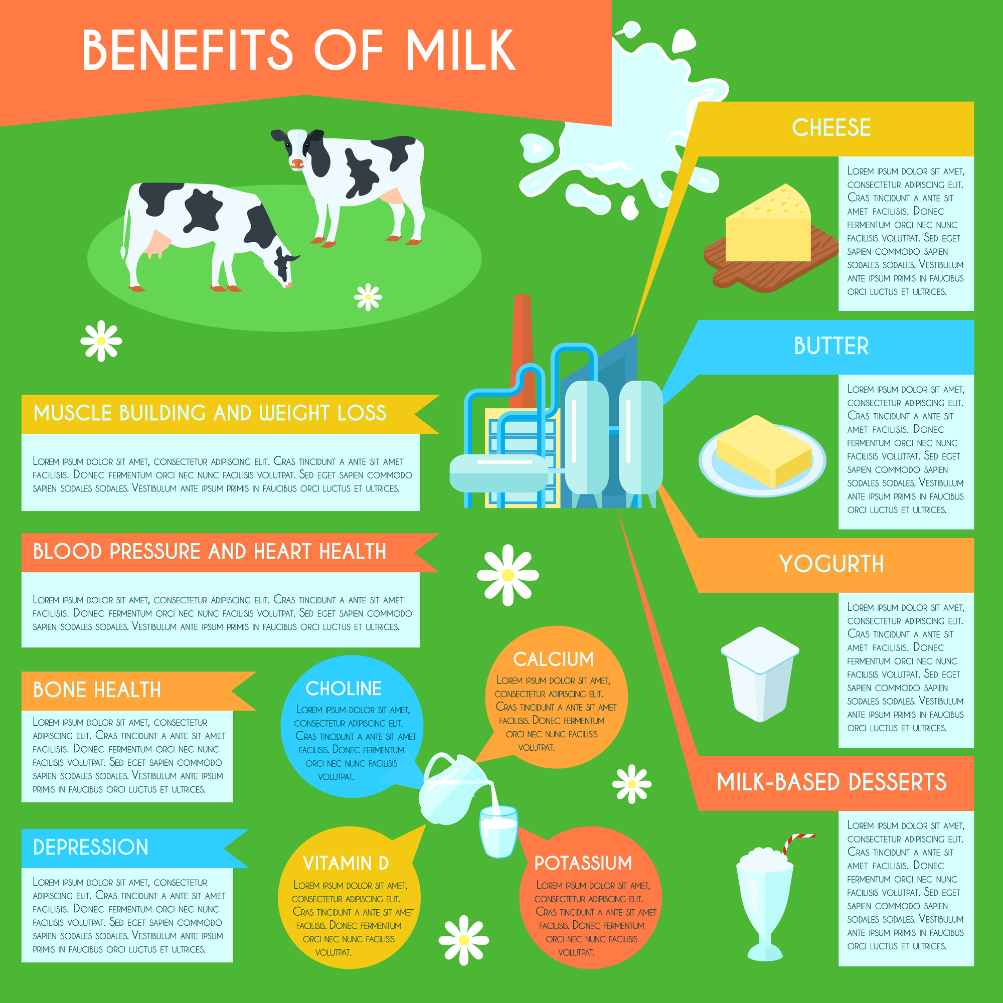 Milk infographic layout poster