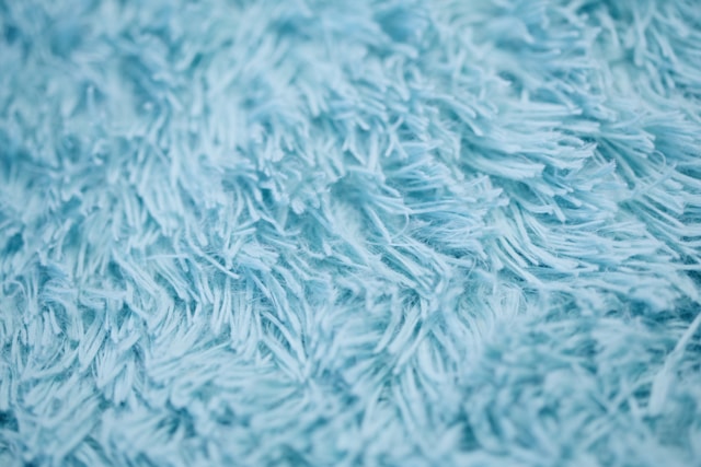 close up photo of carpet