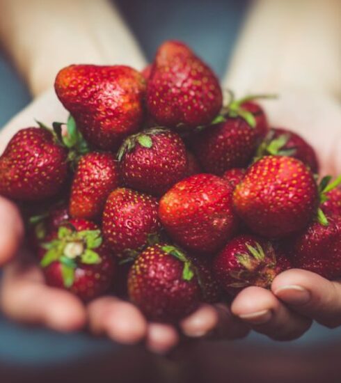 Nutrition - shallow focus photography of strawberries on person's palm