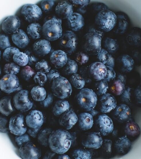 Nutrition - blueberries on white ceramic plate