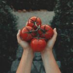 Foods - red tomatoes