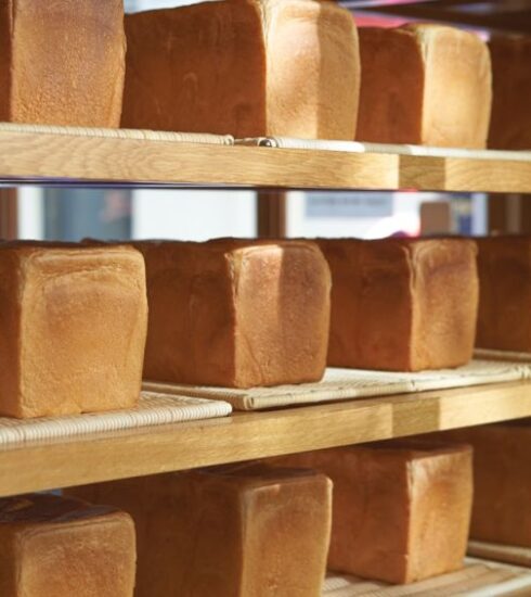 Foods - a shelf filled with lots of different types of bread