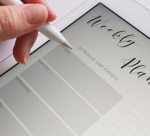 Meal Plan - Person Holding White Stylus