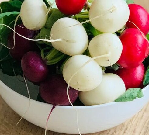 Superfoods - A Bowl of Fresh Round Red and White Radish