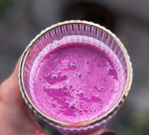 Wellness Diet - A person holding a glass of purple juice