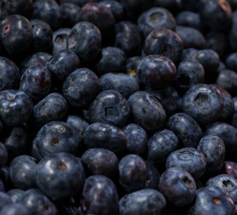 Superfoods - healthy blueberries