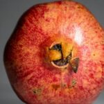 Superfoods - A red apple with a black spot on it