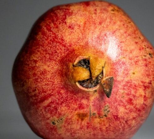 Superfoods - A red apple with a black spot on it