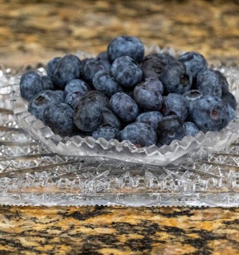 Superfoods - a glass bowl filled with blueberries on top of a counter