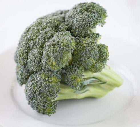 Diet - Broccoli