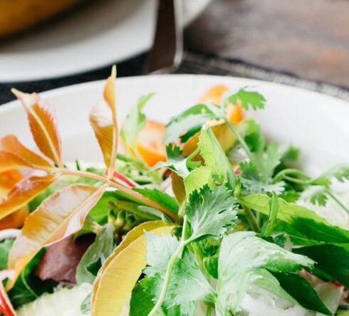 Diet - Vegetable Salad on White Plate