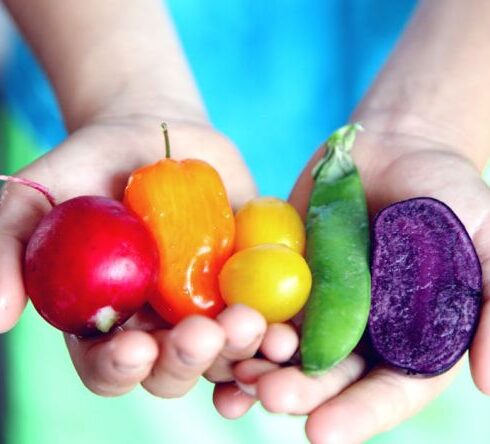 Healthy Eating - Tilt Shift Lens Photography of Five Assorted Vegetables