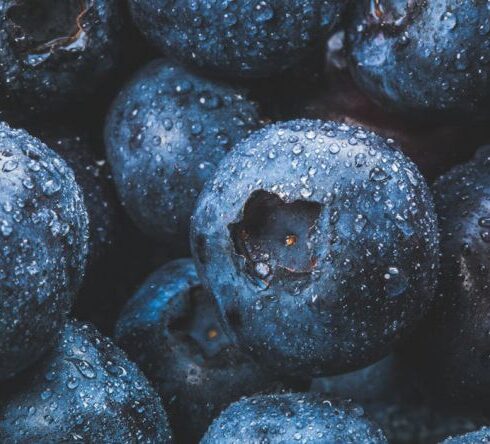 Diet - Blackberries in Macro Photography