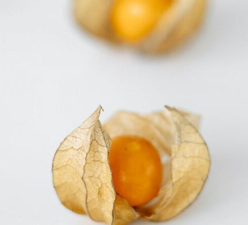 Diets - Two Brown Round Fruits on White Textile