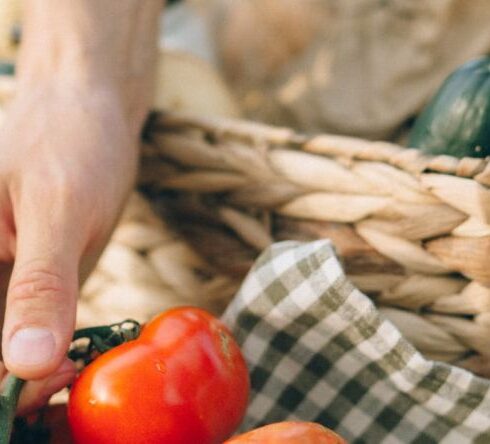 Healthy Eating - Person Holding Red Tomato Fruit