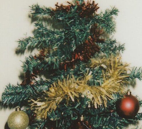 Holidays - Photo Of Christmas Tree