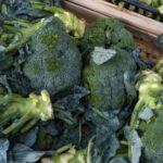 Diets - a pile of broccoli sitting on top of a wooden crate