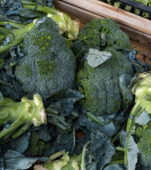 Diets - a pile of broccoli sitting on top of a wooden crate