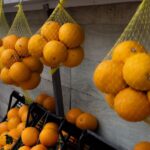 Diets - a bunch of oranges that are hanging from a wall