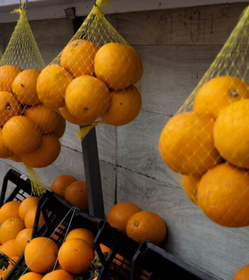 Diets - a bunch of oranges that are hanging from a wall