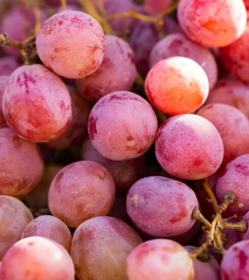 Diet - a bunch of grapes that are sitting on a table