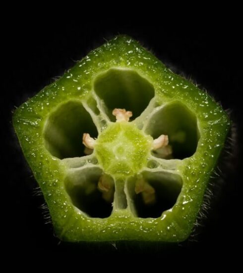 Diet - green fruit with water droplets