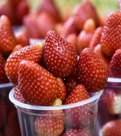 Diet - red strawberries in clear plastic container