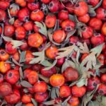 Diet - a pile of red apples with green leaves