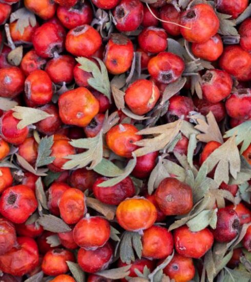 Diet - a pile of red apples with green leaves