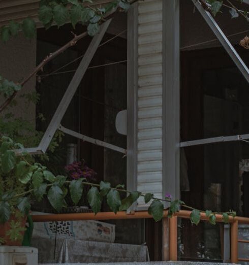 Jackets - A cat sitting on a balcony with a plant in front of it