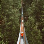 Tops - Unrecognizable People Walking on Hanging Footbridge Among Tops of Conifer Trees