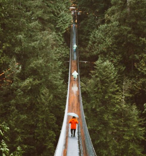 Tops - Unrecognizable People Walking on Hanging Footbridge Among Tops of Conifer Trees