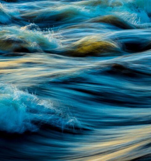 Movement - Macro Photography of Water Waves