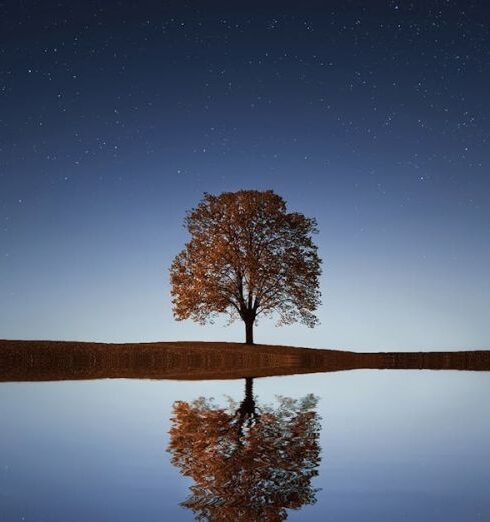 Reflection - Green Tree