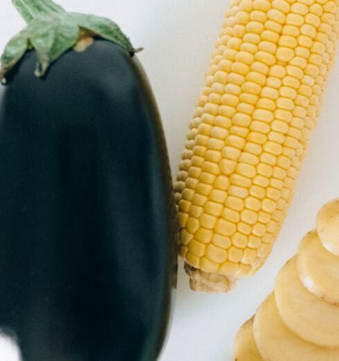 Diets - Corn and Corn on White Surface