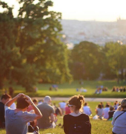 Parks - Group of People Enjoying Music Concert