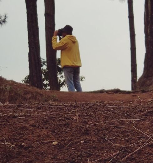 Bird Watching - Person Standing in Forest