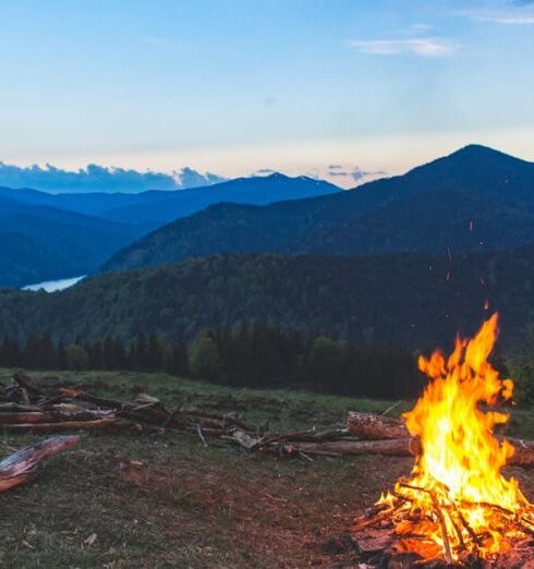 Camping - Bonfire Surrounded With Green Grass Field