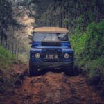 Adventure - Blue Car on Dirt Road Between Green Leaf Trees