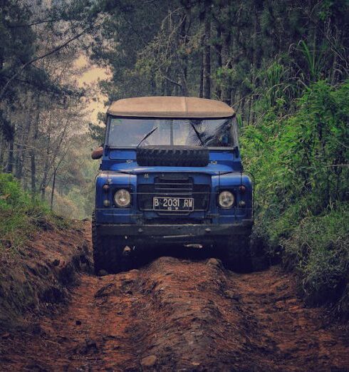 Adventure - Blue Car on Dirt Road Between Green Leaf Trees