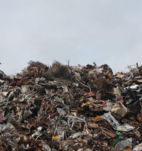 Waste - Dumpsite under Clear Sky