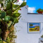 Garden - Veranda Surrounded by Green Cactus and Pink Bougainvillea