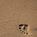 Footprint - Footprint on Sand