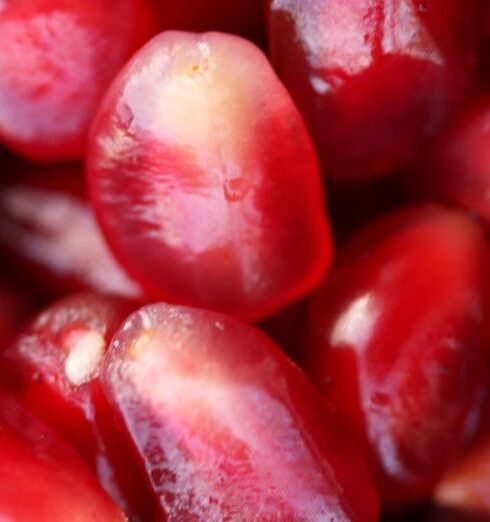 Diet - Red Pomegranate Seeds