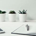 Work - Three White Ceramic Pots With Green Leaf Plants Near Open Notebook With Click Pen on Top