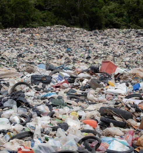 Waste - Landfill near Trees