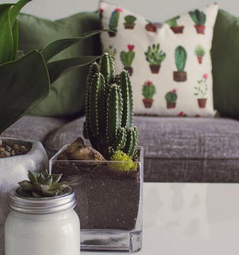 Decor - Photo of Plants on the Table