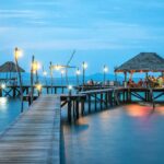 Lifestyle - Brown Wooden Bridge