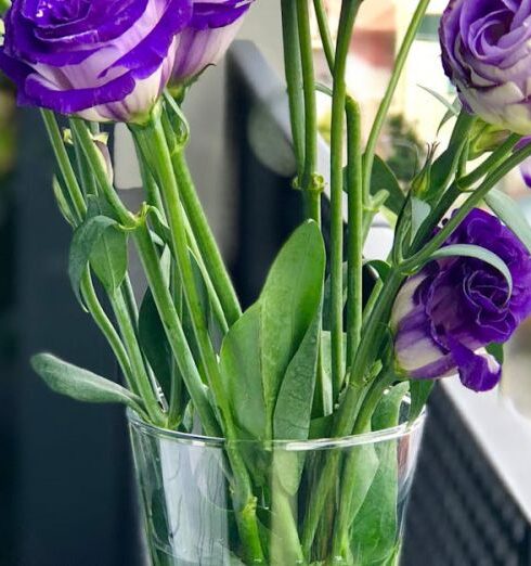 Nature - Close-Up Photography Flowers in a Vase