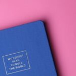 Journal - My Secret Plan to Rule the World Book